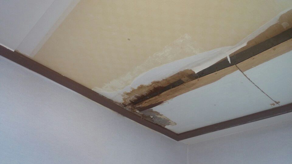 2000769928_MGmcEtKp_58c2f506ea0008c82c267b0989443c60b0a0a3c8.jpg 이미지크게보기